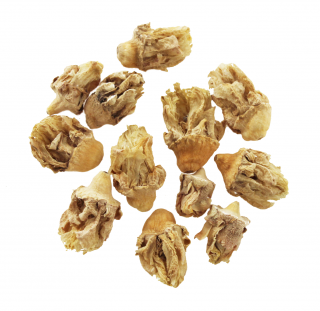 Opuncja figowa, kwiat kaktusa 250g