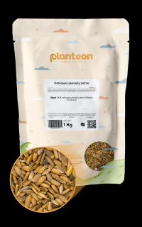 Ostropest plamisty ziarno 1kg