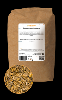 Ostropest plamisty ziarno 5kg