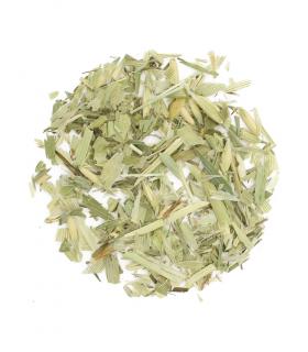 Owies ziele cięte 250g
