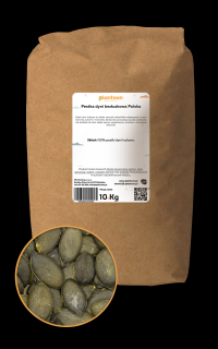 Pestka dyni bezłuskowa Polska 10kg