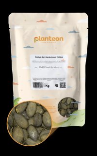 Pestka dyni bezłuskowa Polska 1kg