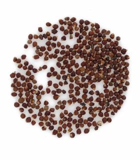 Pieprz Melegueta - Aframon madagaskarski 1kg