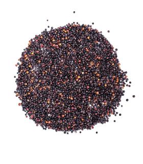 Quinoa czarna 10kg