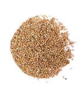 Sezam prażony 5kg