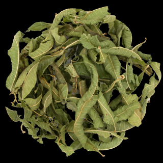 Werbena cytrynowa liść cały - suplement diety 250g