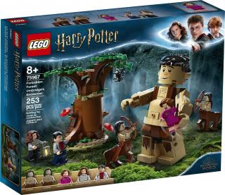 LEGO® 75967 Harry PotterZakazany Las: spotkanie Umbridge