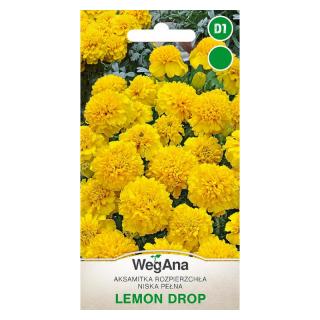 Aksamitka Rozpierzchła Niska Pełna Lemon Drop Wegana 1g