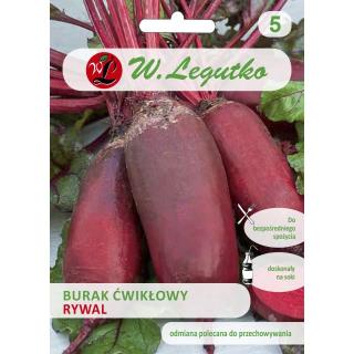 Burak ćwikłowy Rywal Legutko 10g