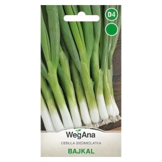 Cebula siedmiolatka Bajkal Wegana 2g