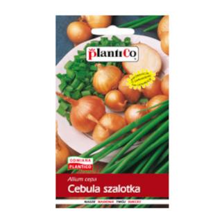 Cebula Szalotka Allium Ascalonicum toto 1g Platico