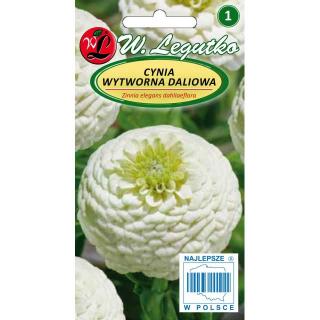 Cynia wytworna daliowa Polar Bear Legutko 1g