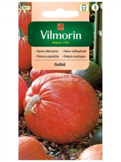 Dynia olbrzymia GOLIAS 3 g Vilmorin
