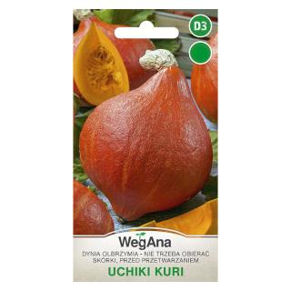Dynia olbrzymia Uchiki Kuri Wegana 3g