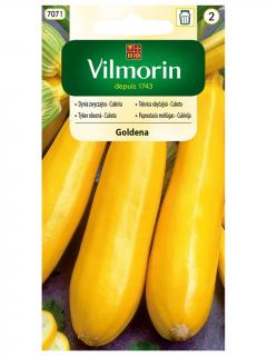 Dynia zwyczajna cukinia GOLDENA żółta 2 g Vilmorin