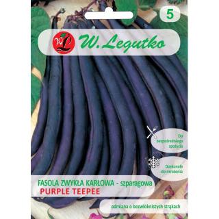 Fasola szparagowa Purple Teepee Legutko 40g