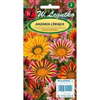 Gazania lśniąca mieszanka 0.3g Legutko