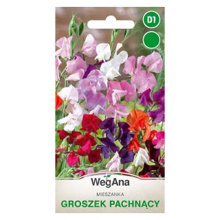 Groszek pachnący mieszanka Wegana 2g