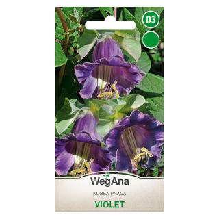 Kobea pnąca Violet Wegana 0,5g