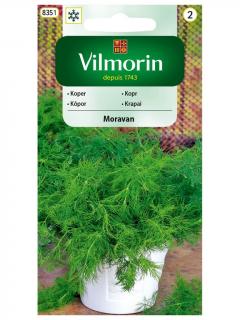 Koper ogrodowy MORAVAN 5 g Vilmorin
