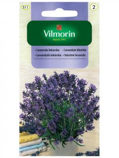 Lawenda Lekarska 0,2 g Vilrmorin