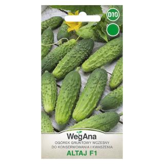 Ogórek konserwowy Altaj Wegana F1 5g