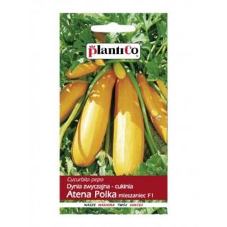 Plantico Cukinia Atena polka 2g
