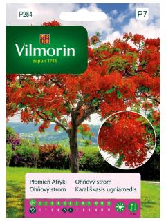 Płomień Afryki Vilmorin 4g