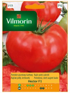 Pomidor gruntowy pod osłony karłowy HECTOR MIESZANIEC średnio wczesna 0,1 g Vilmorin