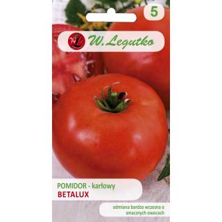 Pomidor gruntowy sztywnołodygowy Betalux Legutko 0,5g