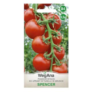 Pomidor Spencer 0,5g Wegana