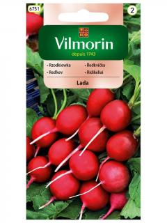 Rzodkiewka okrągła czerwona LADA średnio wczesna 5 g Vilmorin