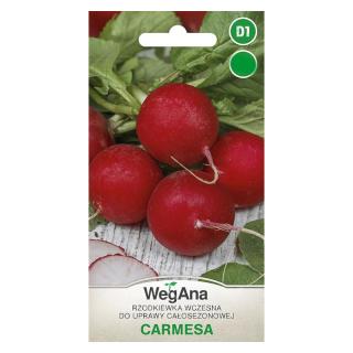 Rzodkiewka Wczesna Do Uprawy Całosezonowej Carmesa Wegana 10g