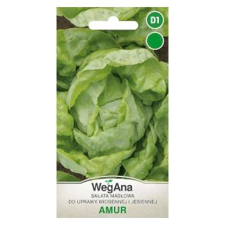 Sałata Do Uprawy Wiosennej i Jesiennej Amur Wegana 1g