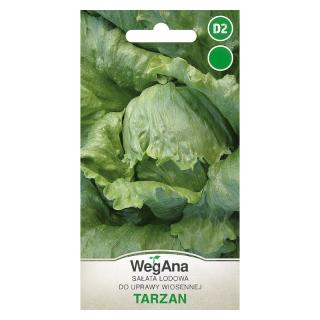 Sałata Lodowa Do Uprawy Wiosennej Tarzan Wegana 1g