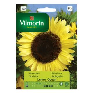 Słonecznik Lemon Queen 0,5g Vilmorin