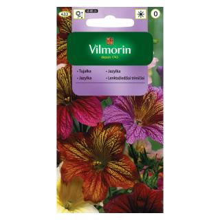 TUJAŁKA zmienna BOLERO mieszanka Vilmorin 0.5g