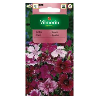 Vilmorin Goździk Chiński mix 1g