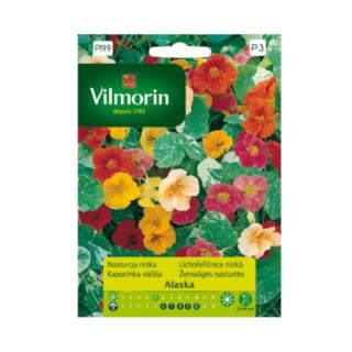 Vilmorin nasturcja niska Alaska 2g