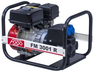 Agregat prądotwórczy Fogo FM 3001, Model - FM 3001 R