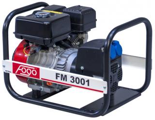 Agregat prądotwórczy Fogo FM 3001, Model - FM 3001