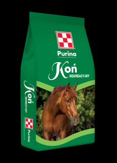 Koń rekreacyjny 25kg