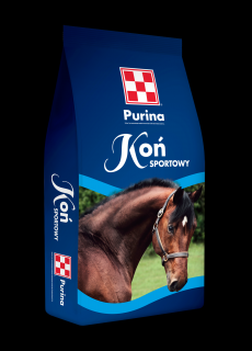Koń sportowy 25kg