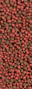 Pełnoporcjowa sucha karma dla psów DINO z wołowiną - 20kg