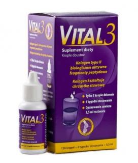 VITAL3 - 5,5 ML  STAWY ARTRETYZM NA 6 TYG. STOSOWANIA