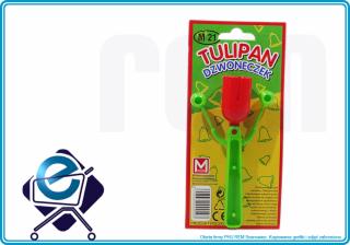 M21 tulipan-dzwoneczek
