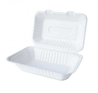 Menubox Półobiad z trzciny cukrowej 230x158x80 mm 50 sztuk EKO
