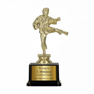 Statuetka plastikowa KARATE F10