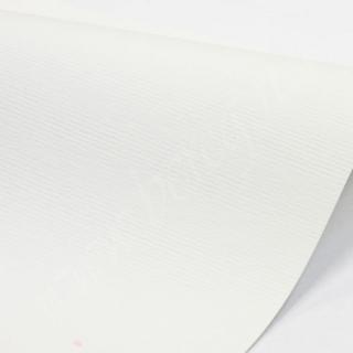 NETTUNO 140g Bianco 72x101 – biały obustronna faktura prążka