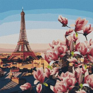 Malowanie po numerach IDEYKA, 50x50 cm, magnolie paryskie
